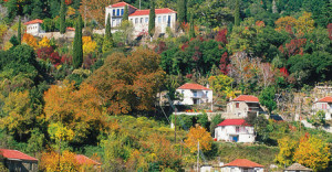 Τιμάται ο Πάνος Παπαντωνίου (Κουκούτσης)