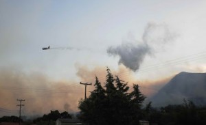 Υπό έλεγχο η φωτιά που ξέσπασε στο Μολύκρειο