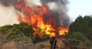 Αιτωλοακαρνανία: Συνελήφθη για τις φωτιές στην Τρύφου